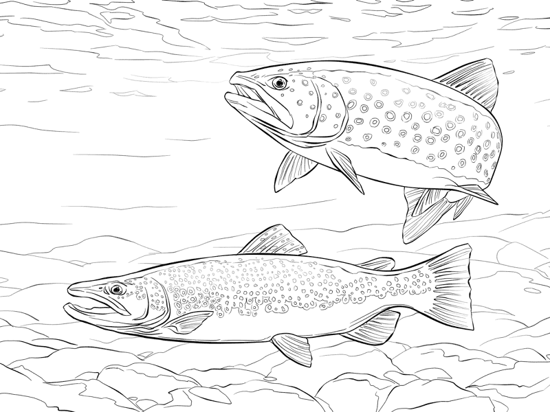 Desenho de Subaquático para colorir e imprimir: número 9