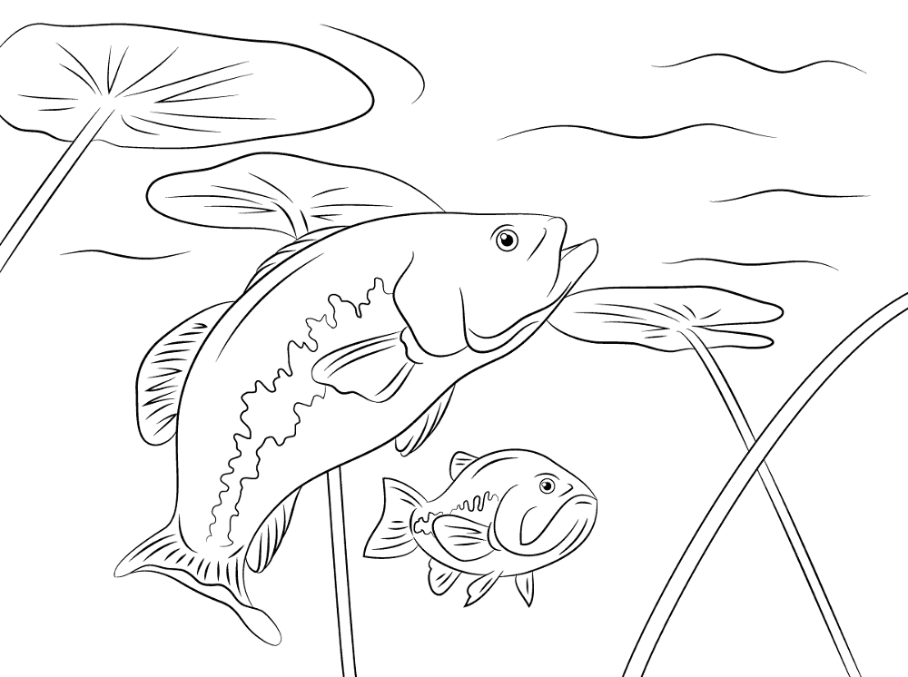 Desenho de Subaquático para colorir e imprimir: número 21