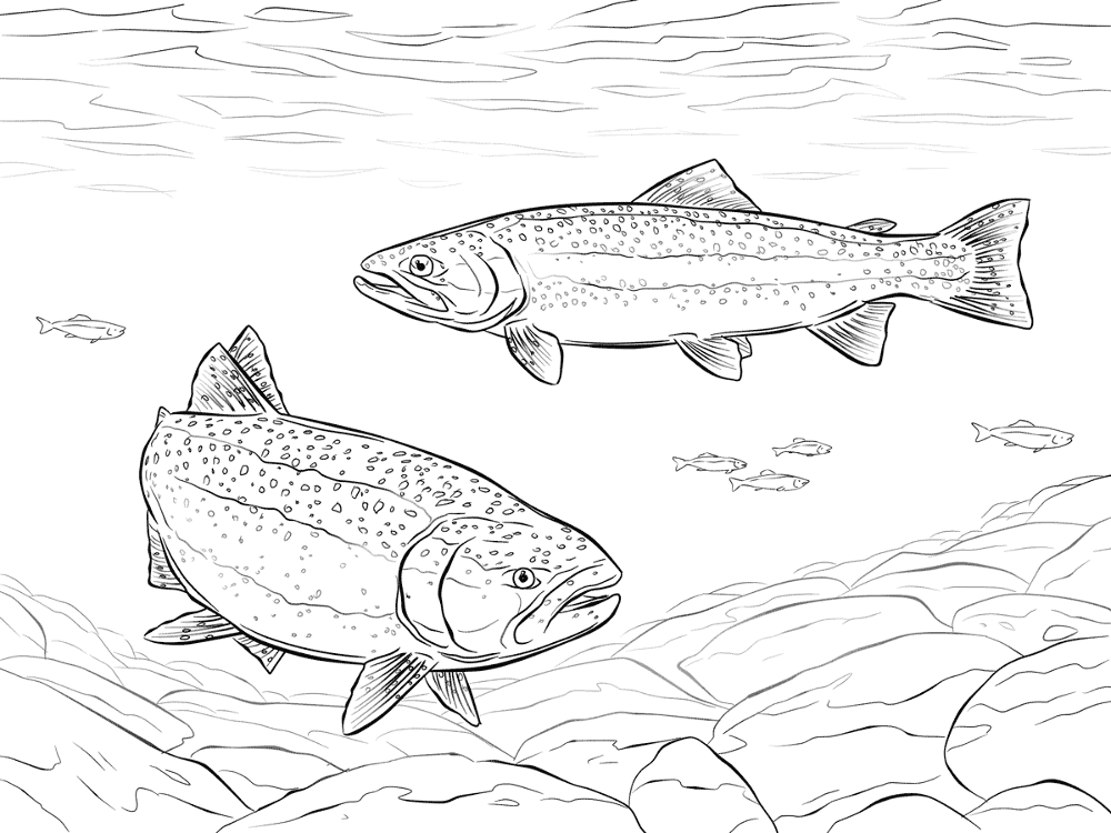 Desenho de Subaquático para colorir e imprimir: número 31
