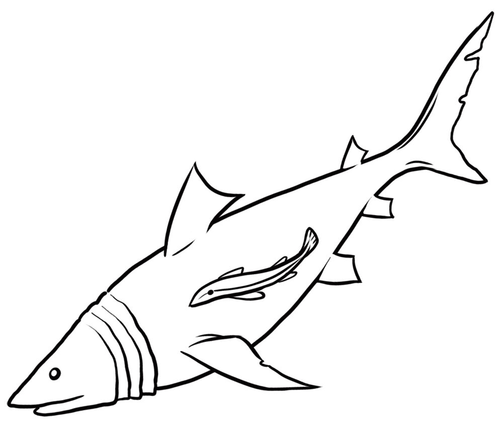 Desenho de Subaquático para colorir e imprimir: número 35