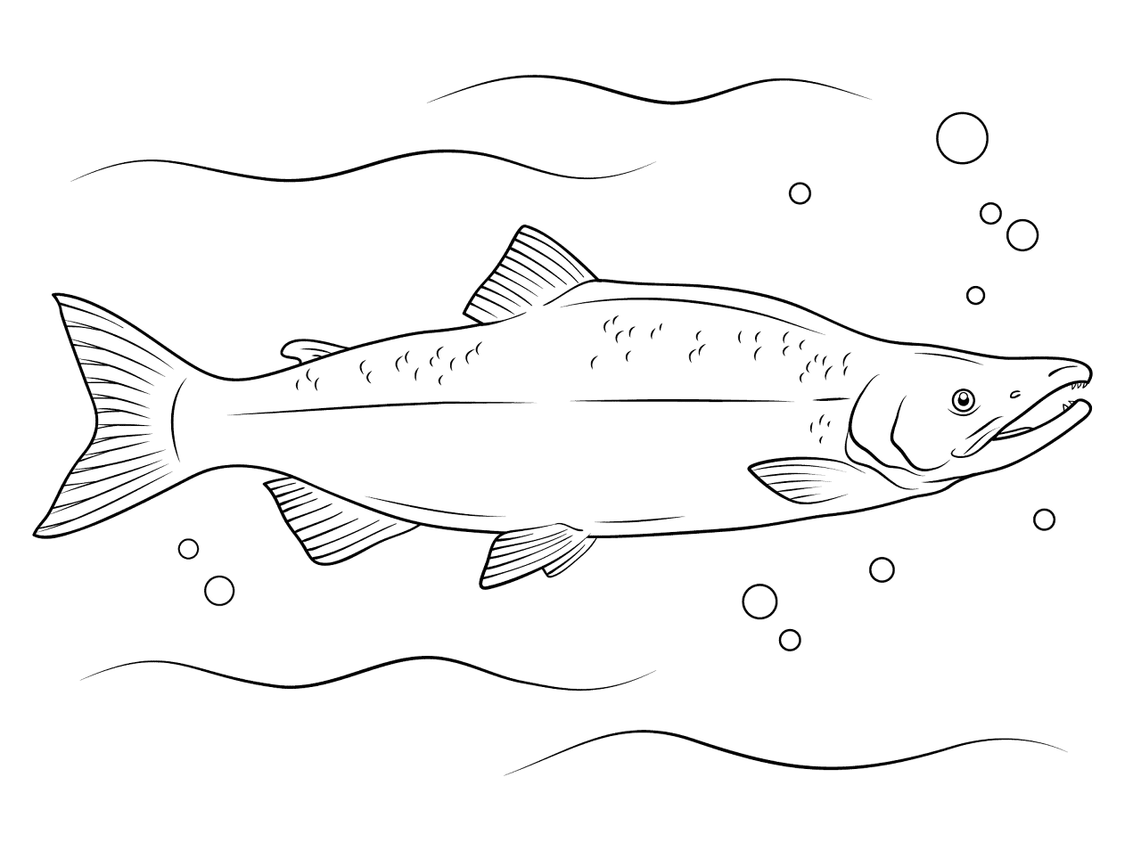Desenho de Subaquático para colorir e imprimir: número 37