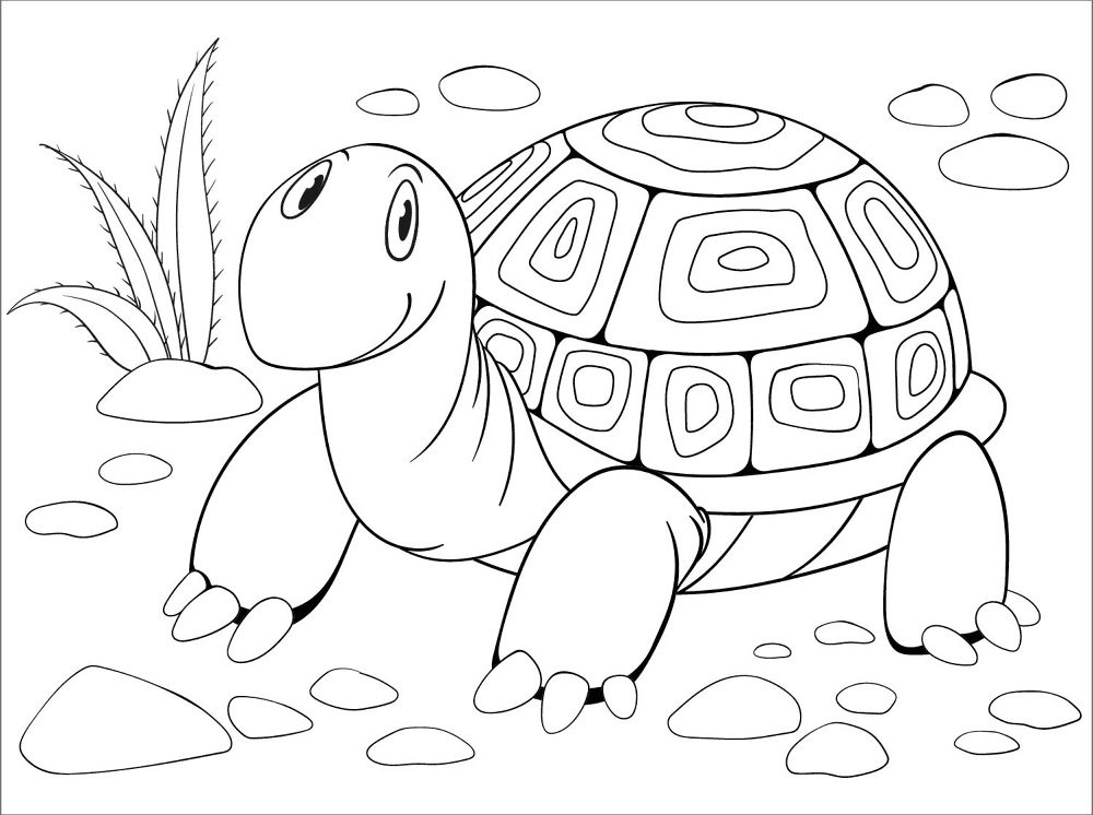 Desenho de Tartaruga para colorir e imprimir: número 1