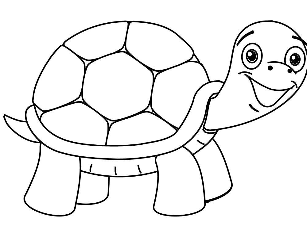 Desenho de Tartaruga para colorir e imprimir: número 3