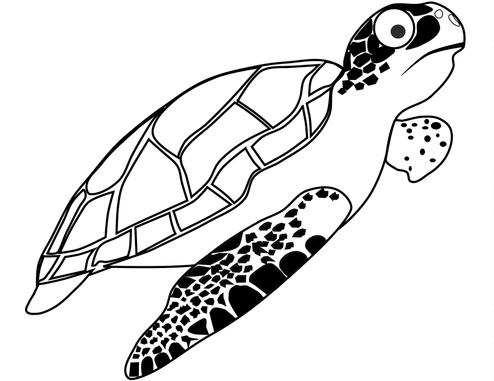 Desenho de Tartaruga para colorir e imprimir: número 4