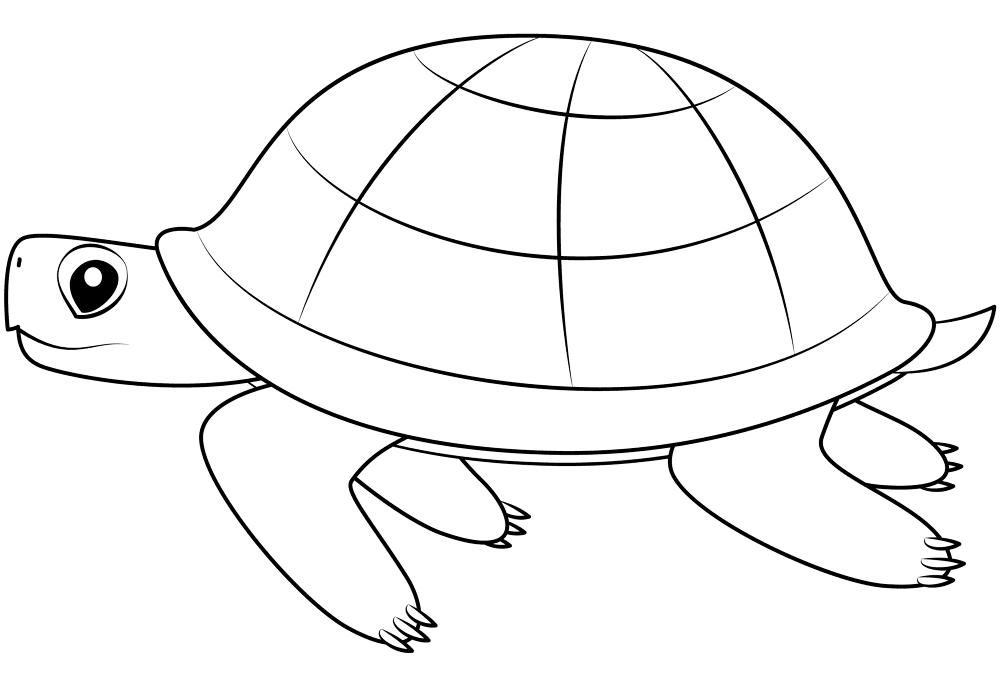 Desenho de Tartaruga para colorir e imprimir: número 5