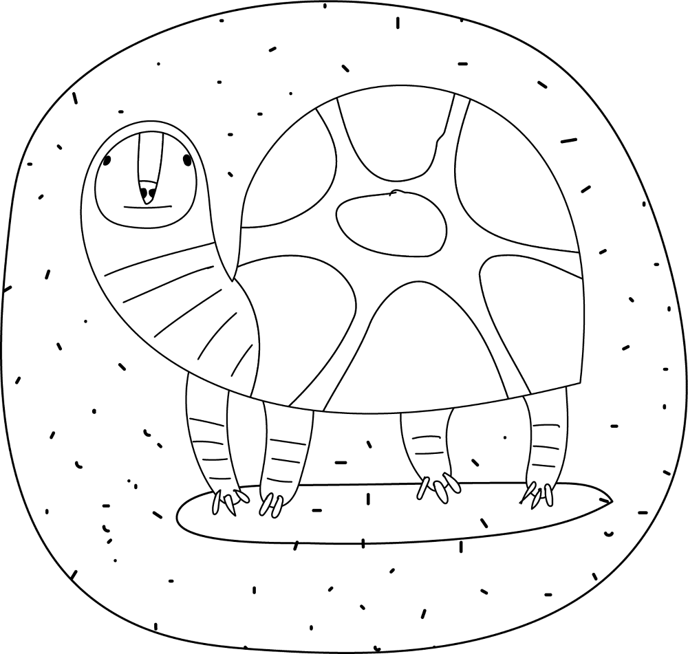 Desenho de Tartaruga para colorir e imprimir: número 10