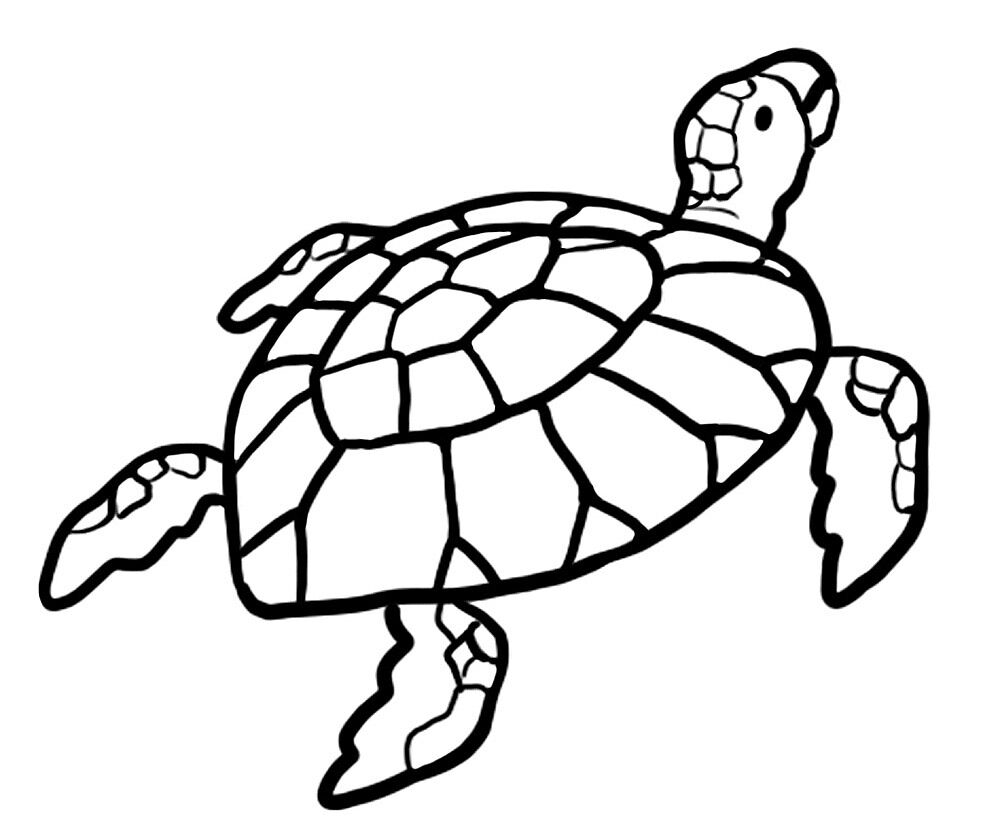 Desenho de Tartaruga para colorir e imprimir: número 13