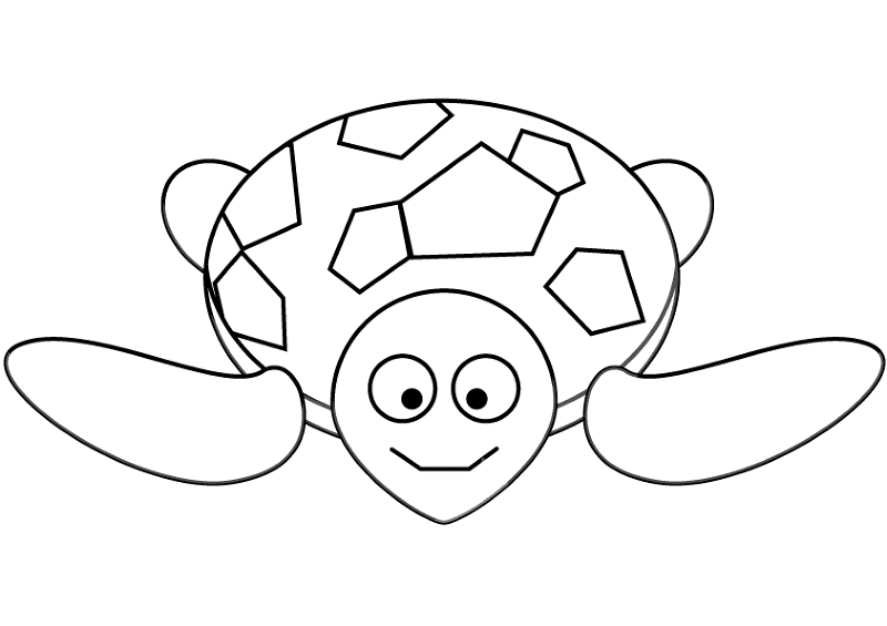Desenho de Tartaruga para colorir e imprimir: número 19
