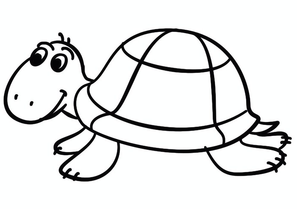 Desenho de Tartaruga para colorir e imprimir: número 20