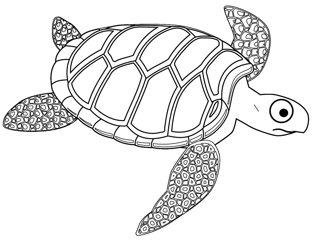 Desenho de Tartaruga para colorir e imprimir: número 21