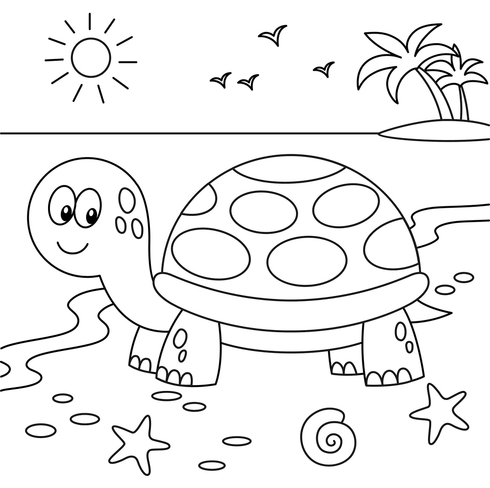 Desenho de Tartaruga para colorir e imprimir: número 24