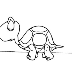 Desenho de Tartaruga para colorir e imprimir: número 27