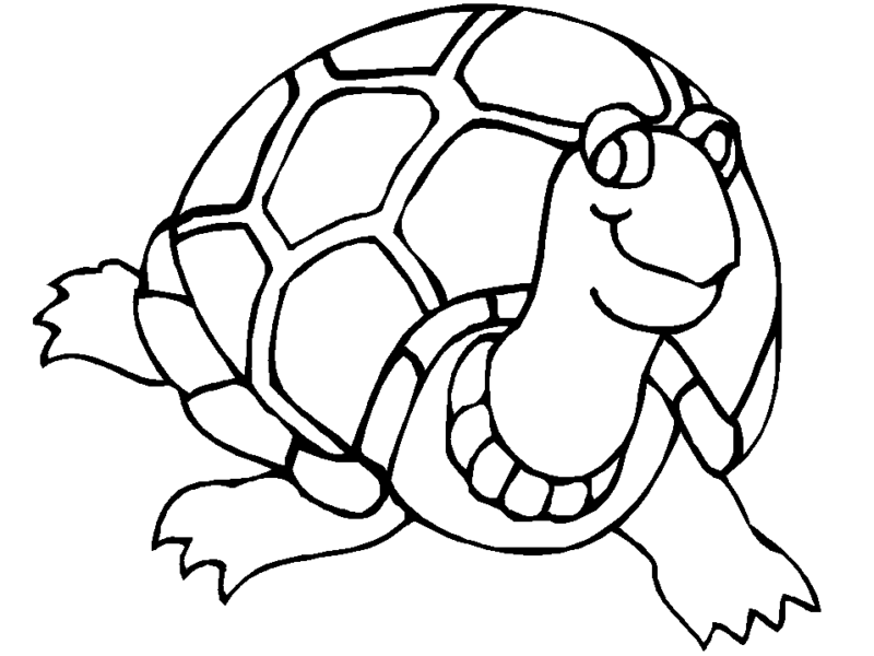 Desenho de Tartaruga para colorir e imprimir: número 28