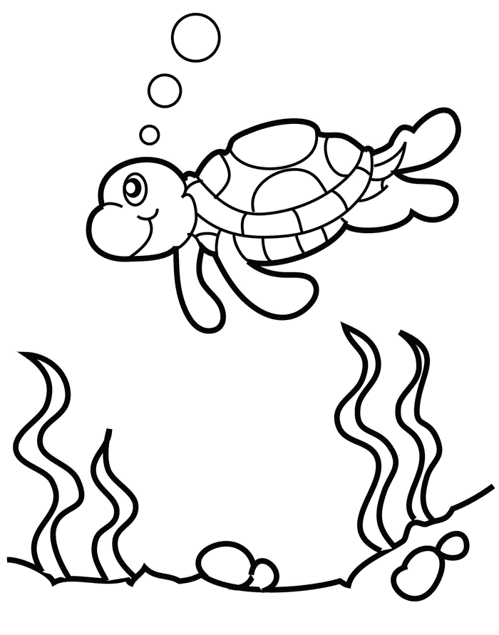 Desenho de Tartaruga para colorir e imprimir: número 31