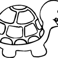 Desenho de Tartaruga para colorir e imprimir: número 33
