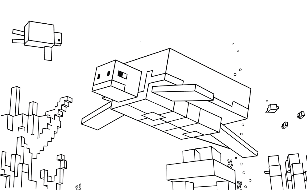Desenho de Tartaruga para colorir