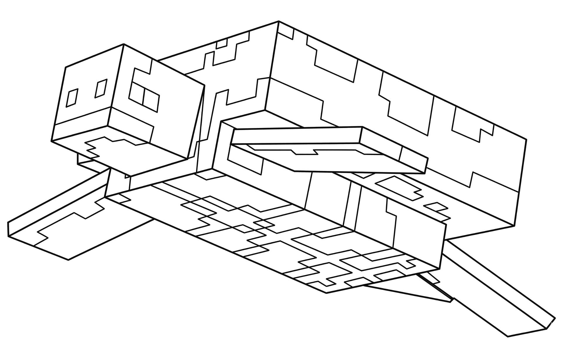 Desenho de Tartaruga para colorir