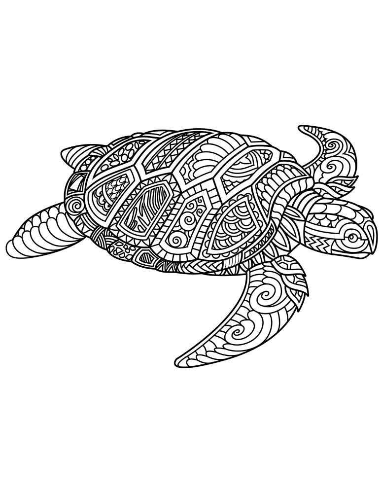 Desenho de Tartaruga para colorir