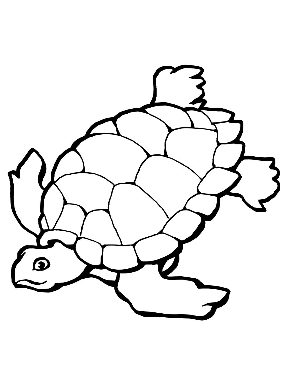 Desenho de Tartaruga para colorir