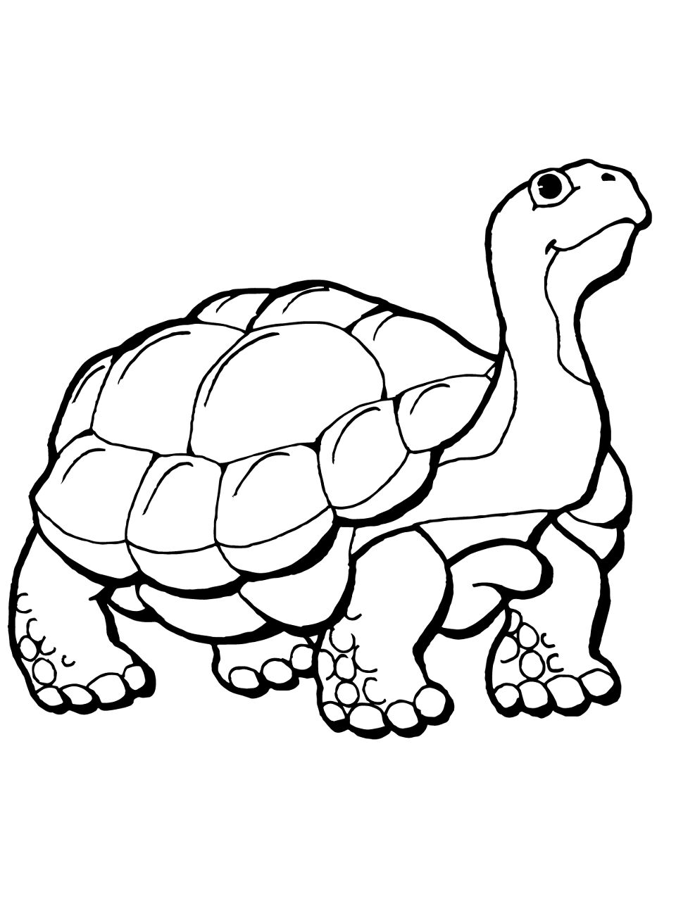 Desenho de Tartaruga para colorir