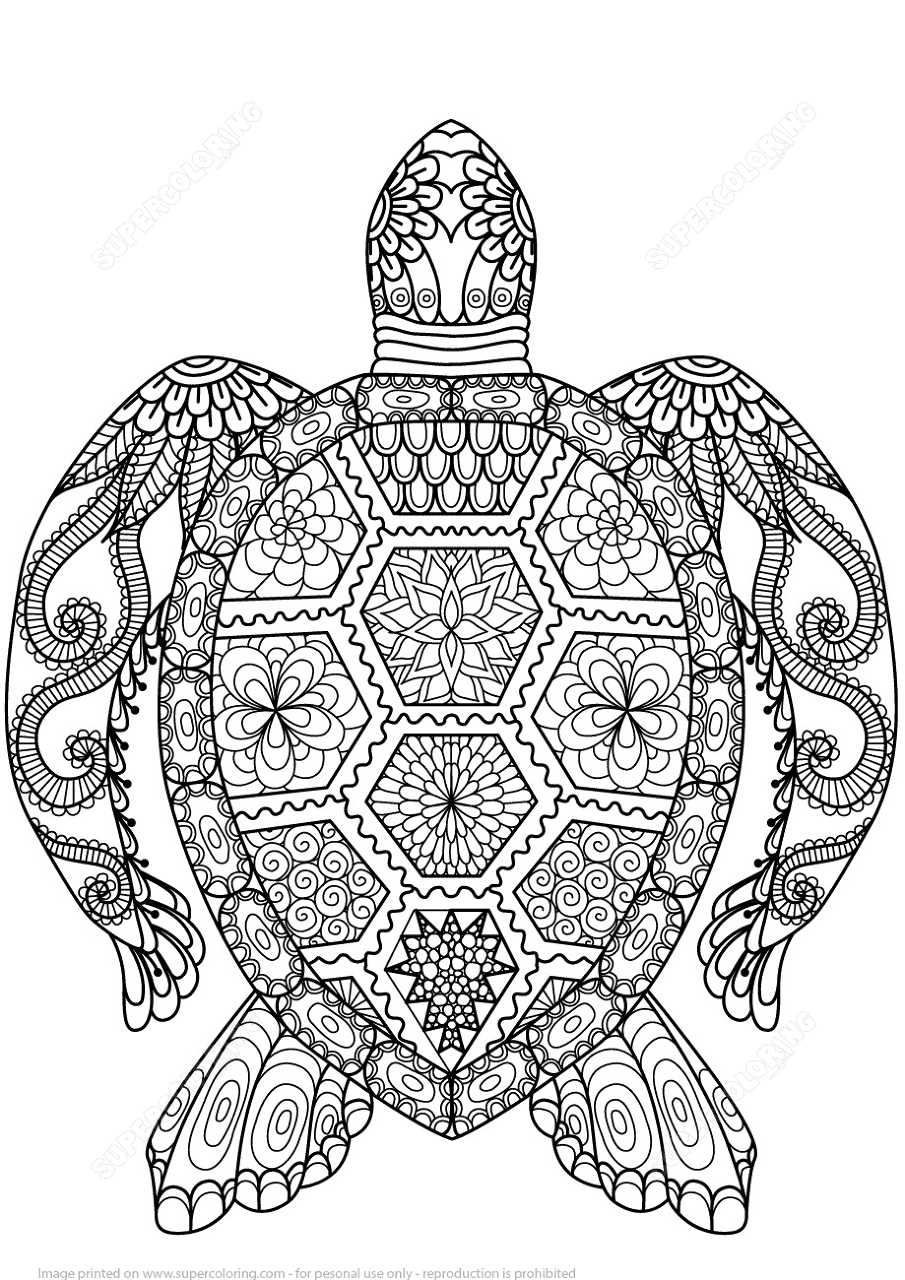 Desenho de Tartaruga para colorir