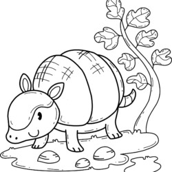 Desenho de Tatu para colorir e imprimir: número 6