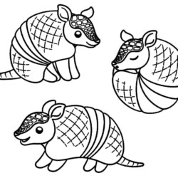 Desenho de Tatu para colorir e imprimir: número 9