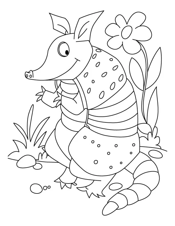 Desenho de Tatu para colorir e imprimir: número 10