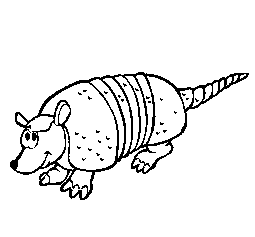 Desenho de Tatu para colorir e imprimir: número 12