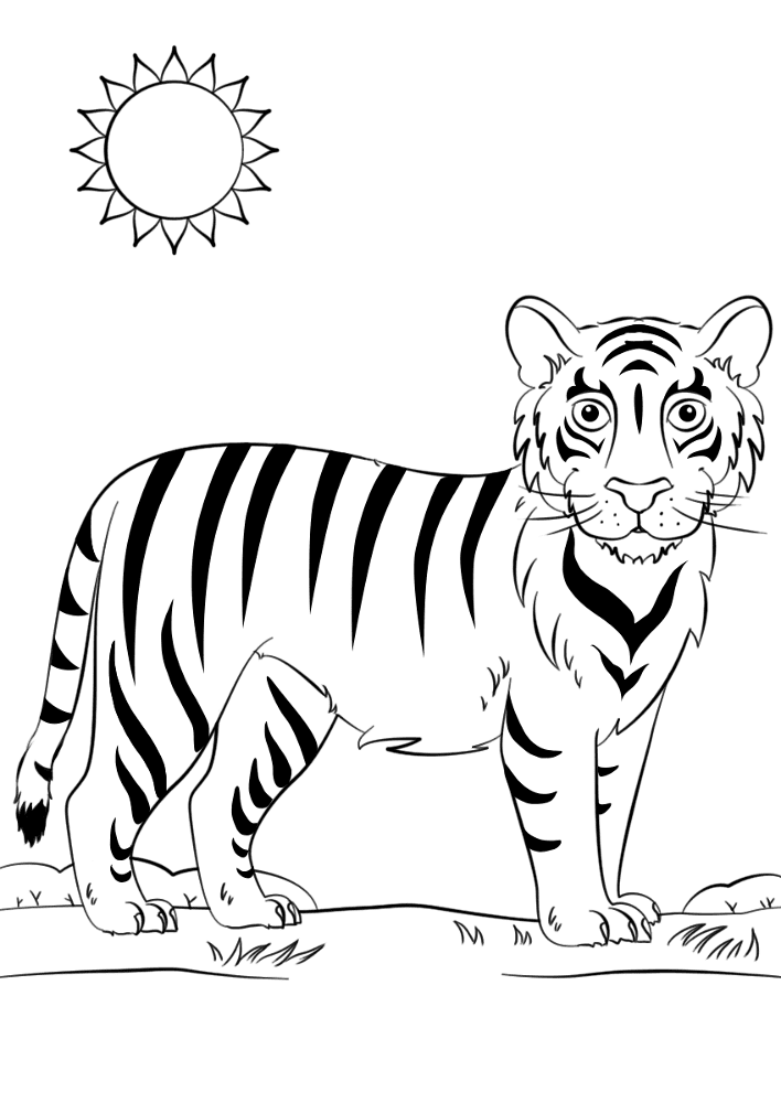 Desenho de Tigres para colorir e imprimir: número 20