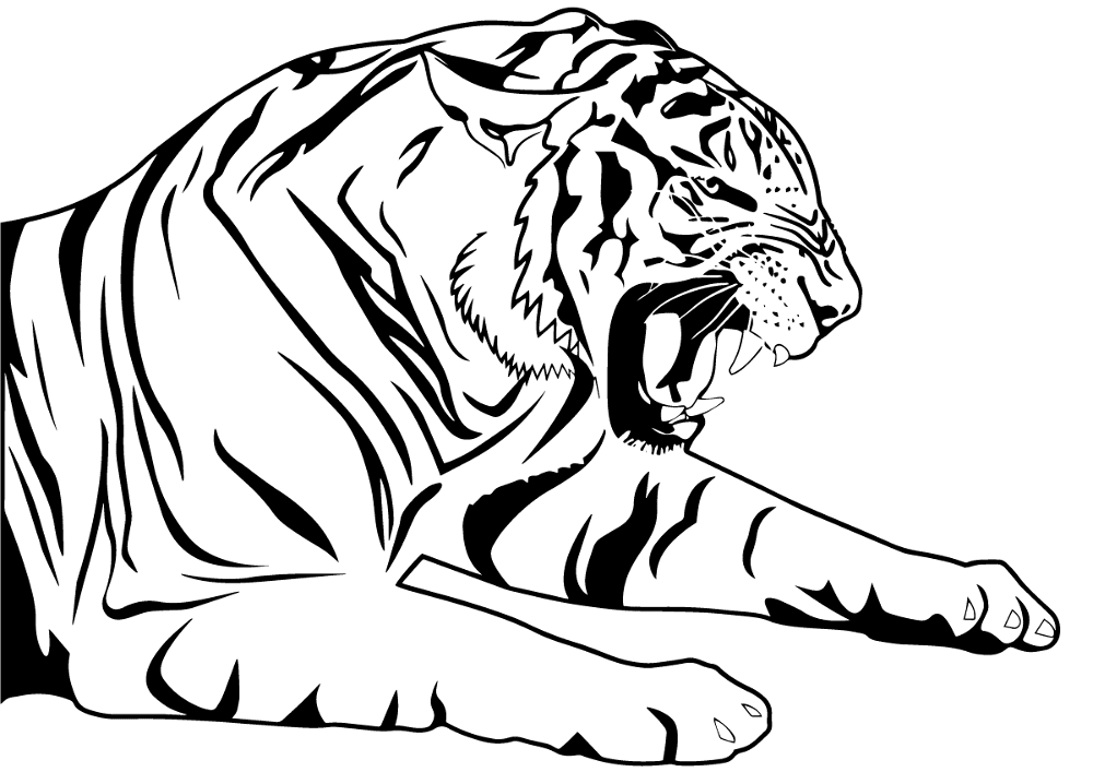 Desenho de Tigres para colorir e imprimir: número 24