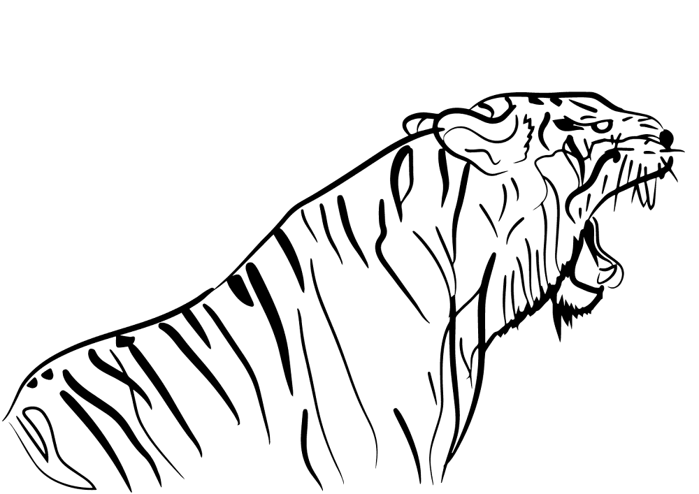Desenho de Tigres para colorir e imprimir: número 25