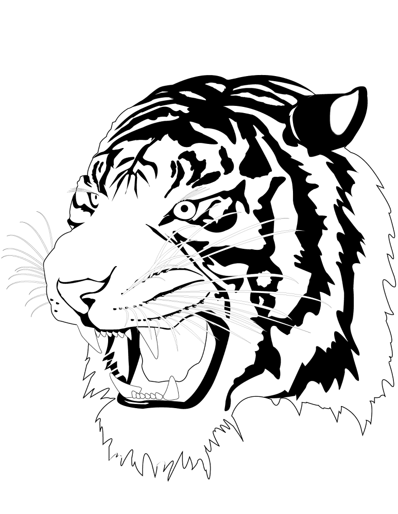 Desenho de Tigres para colorir e imprimir: número 26