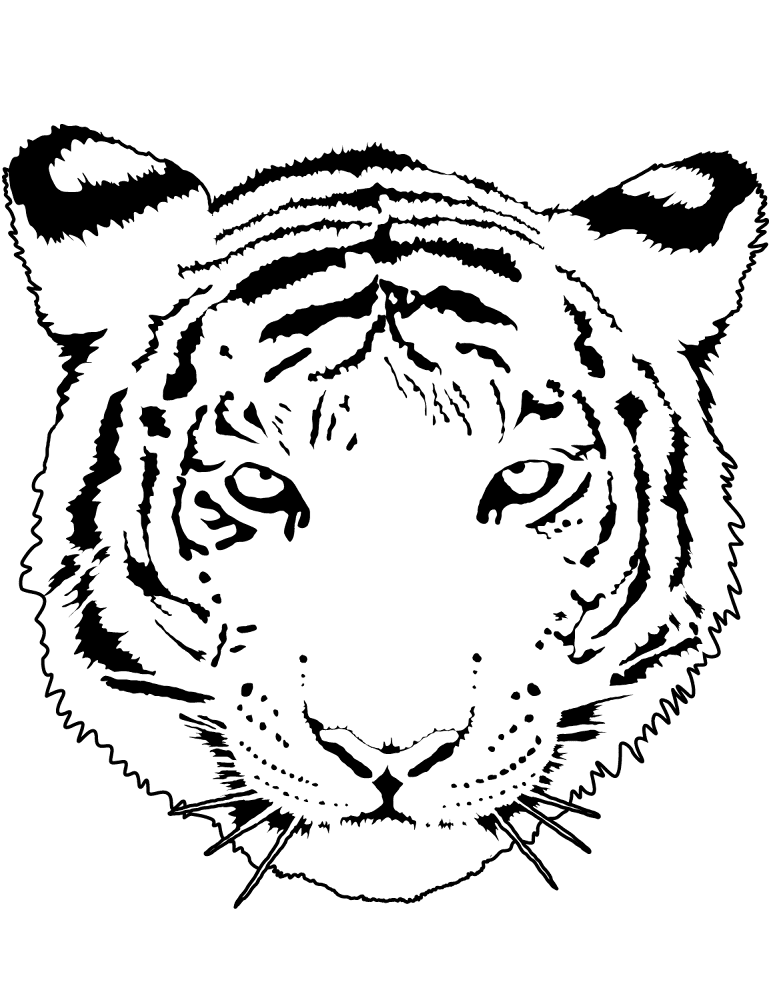 Desenho de Tigres para colorir e imprimir: número 27