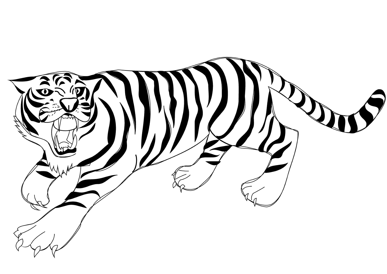 Desenho de Tigres para colorir
