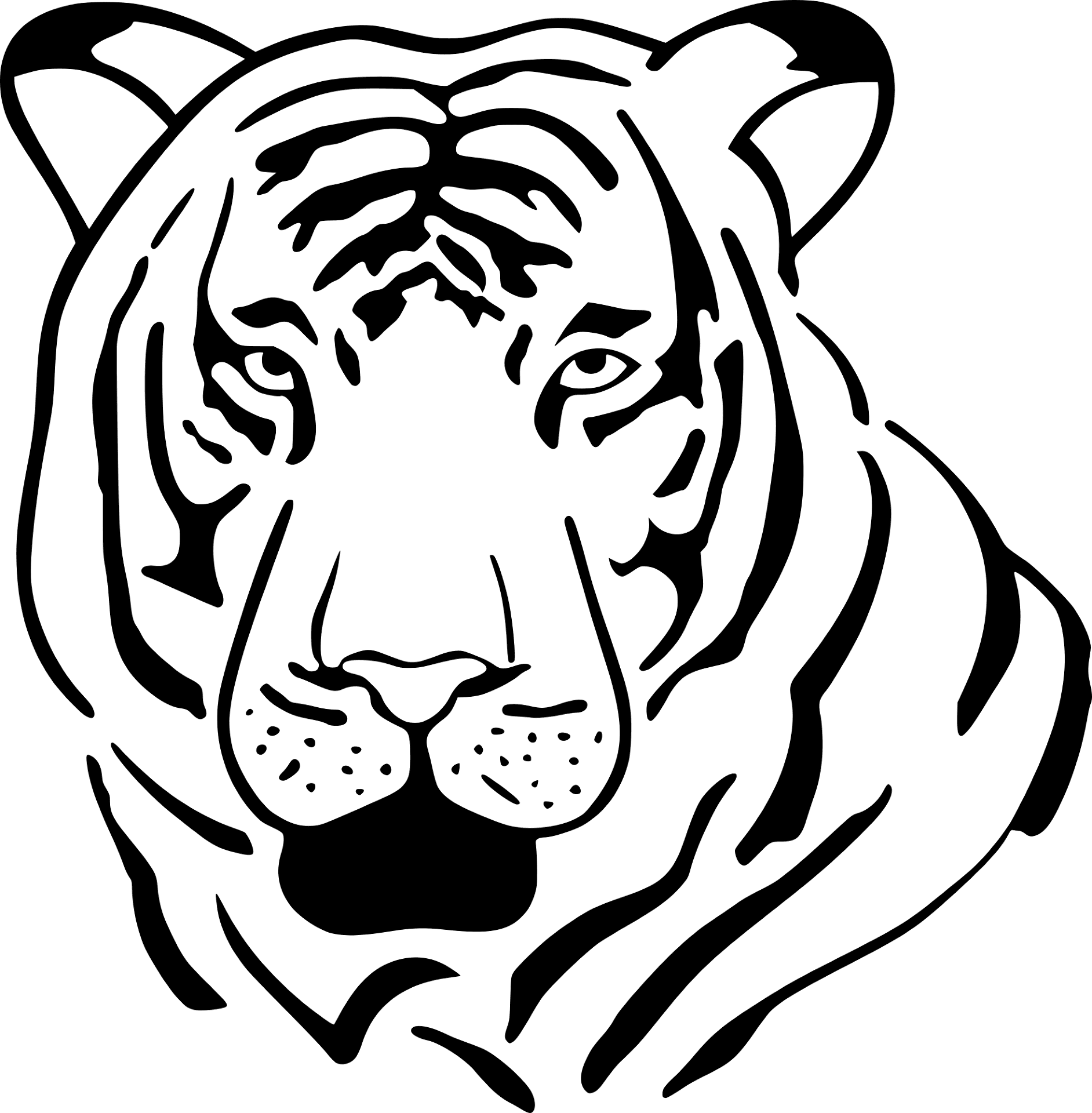 Desenho de Tigres para colorir