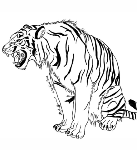 Desenho de Tigres para colorir