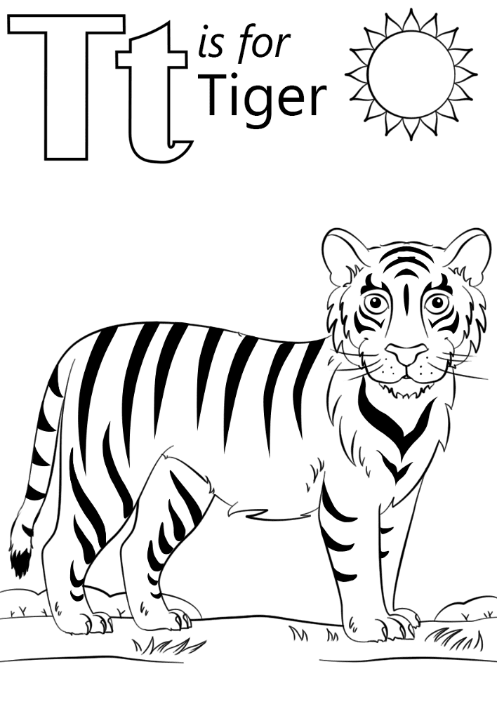 Desenho de Tigres para colorir