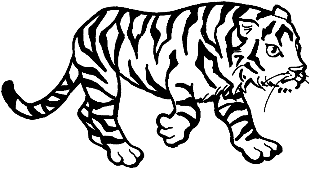 Desenho de Tigres para colorir