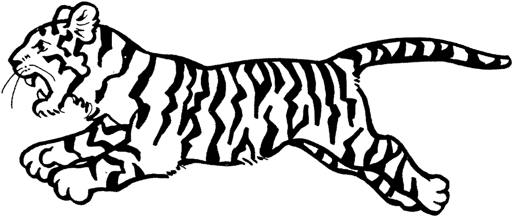 Desenho de Tigres para colorir
