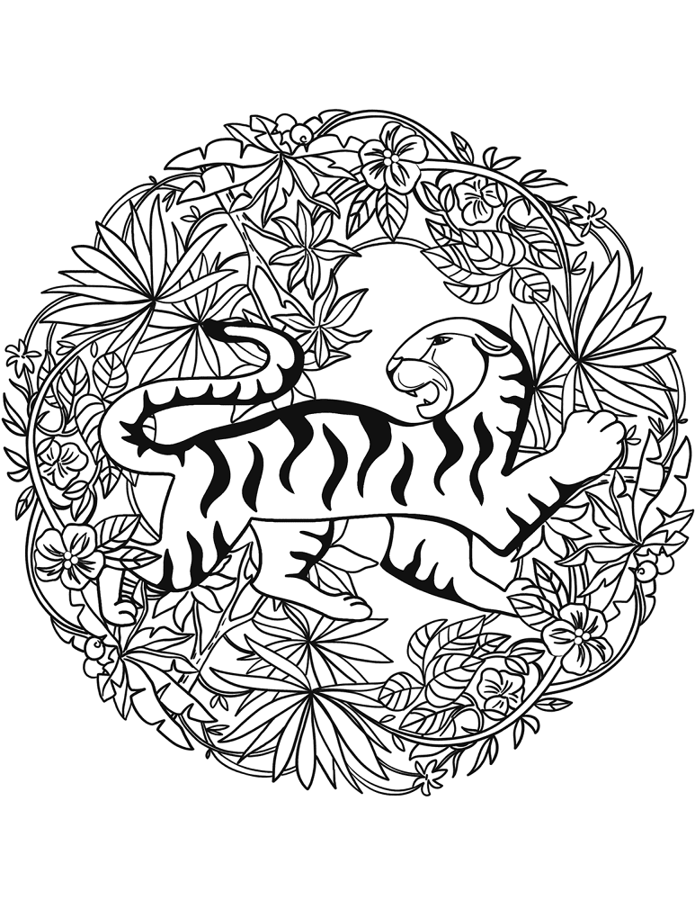 Desenho de Tigres para colorir