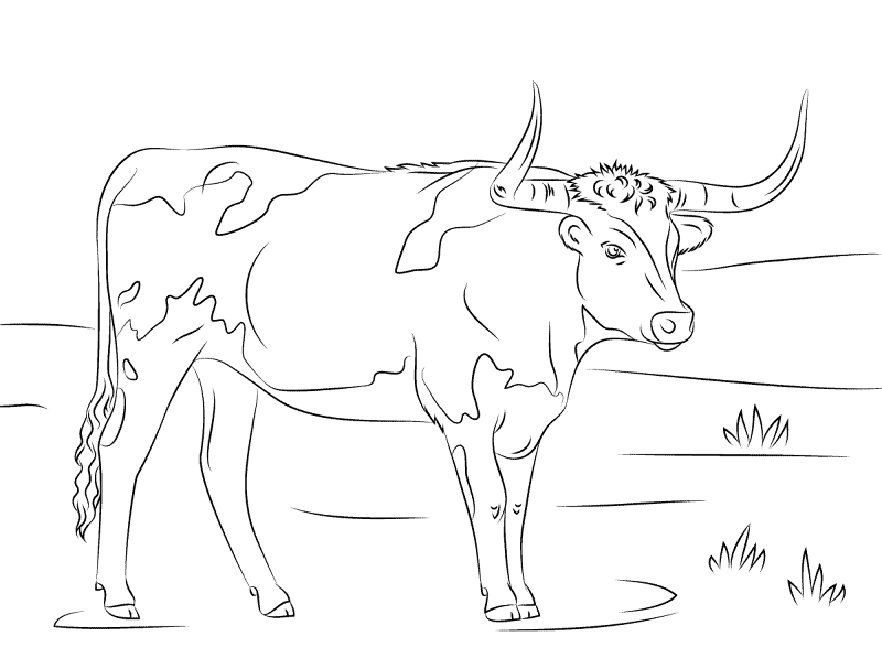 Desenho de Touros para colorir e imprimir: número 11