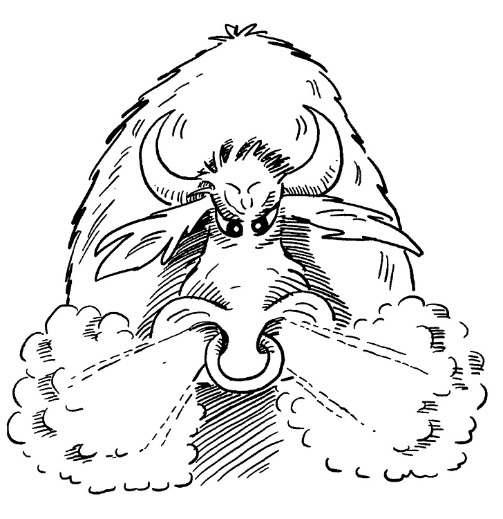 Desenho de Touros para colorir e imprimir: número 12