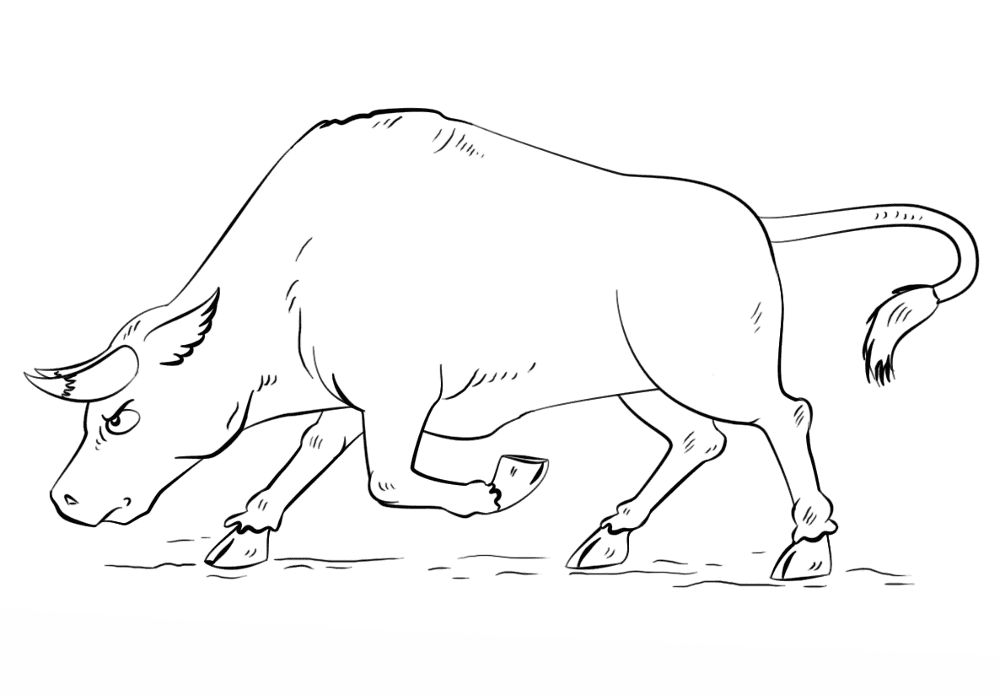 Desenho de Touros para colorir e imprimir: número 14