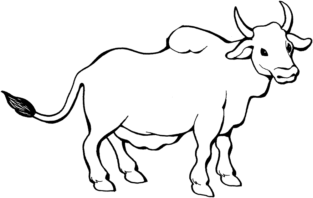Desenho de Touros para colorir e imprimir: número 32