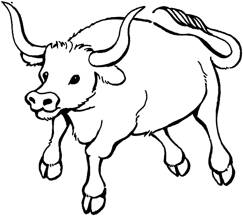 Desenho de Touros para colorir e imprimir: número 33