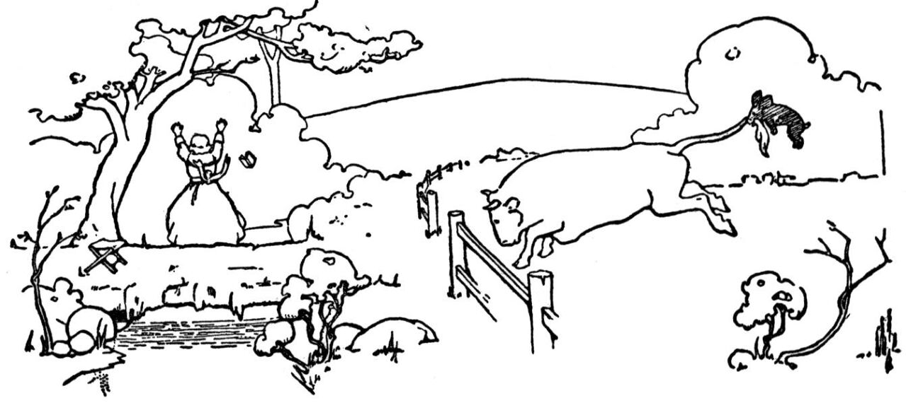 Desenho de Touros para colorir e imprimir: número 34