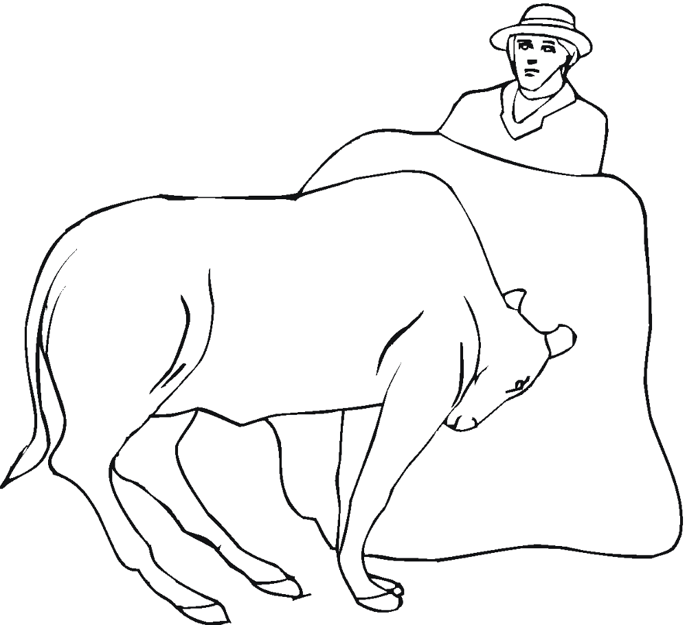 Desenho de Touros para colorir e imprimir: número 35