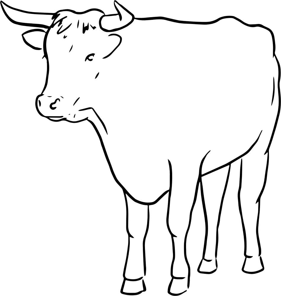Desenho de Touros para colorir e imprimir: número 37