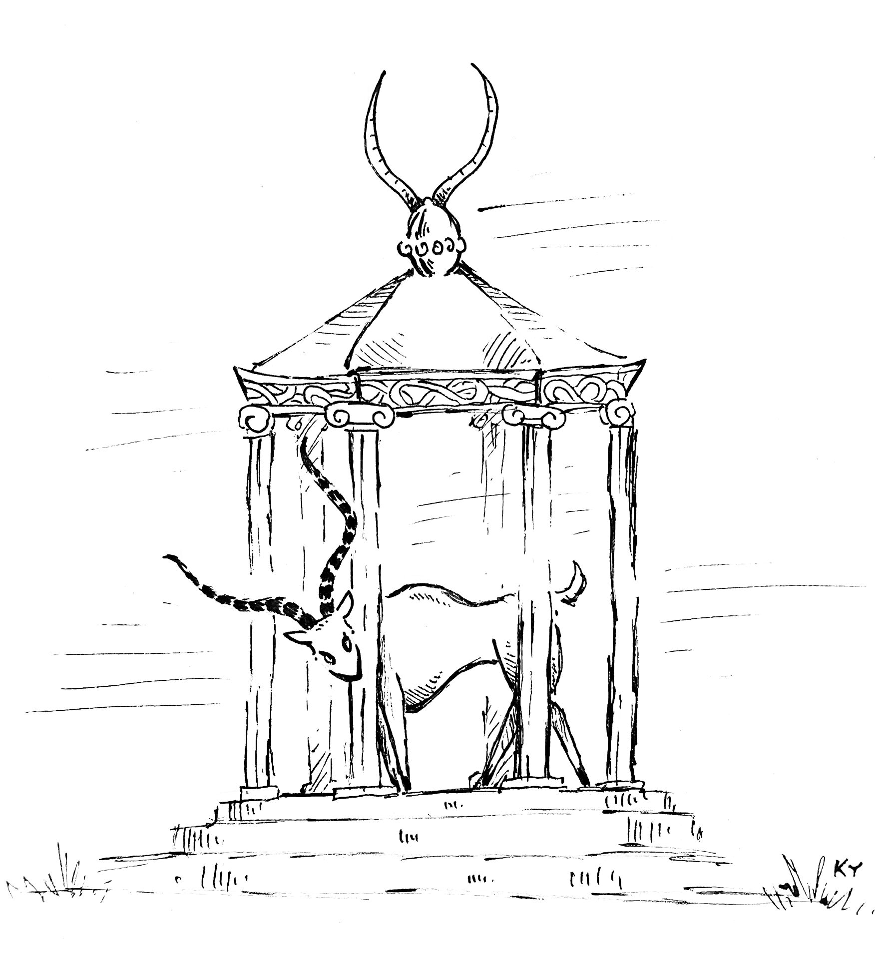 Desenho de Touros para colorir